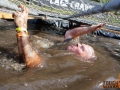 Various pics from Tough Mudder Seattle.