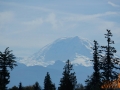 Various pics from Tough Mudder Seattle.